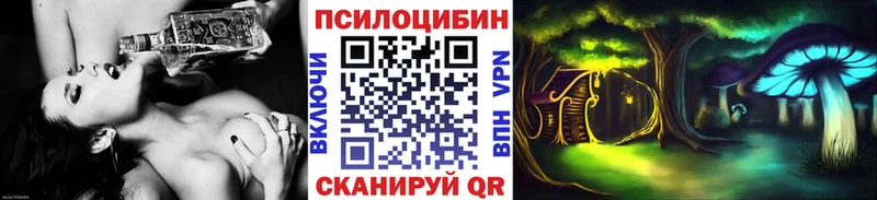 Псилоцибиновые грибы Psilocybe  купить  сайты  Воронеж 