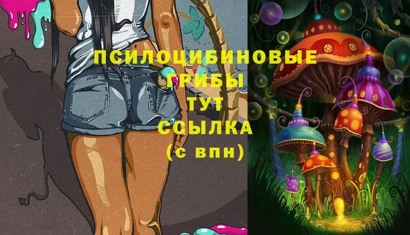 Псилоцибиновые грибы MAGIC MUSHROOMS  мега tor  Воронеж 