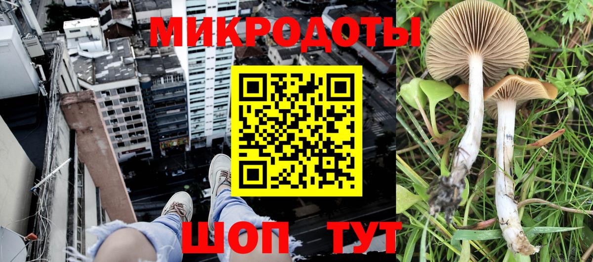 Псилоцибиновые грибы Psilocybine cubensis  Вход с VPN  Псилоцибиновые грибы Magic Shrooms  Воронеж 